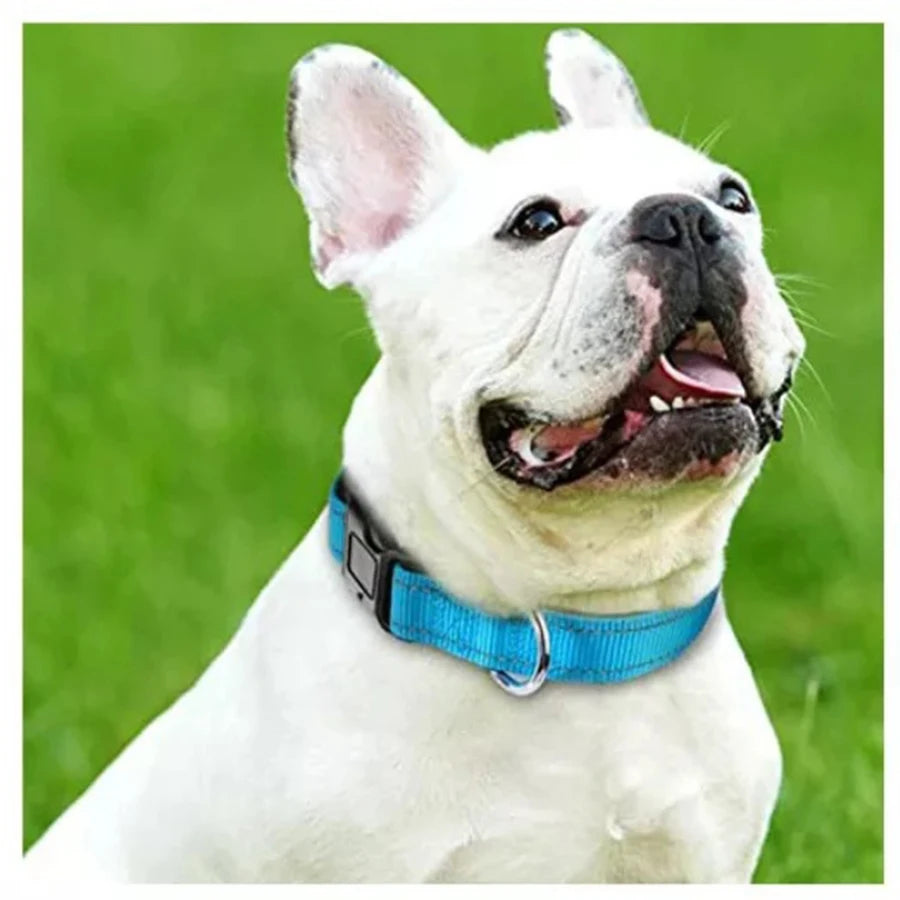 Reflective Padded Dog Collar