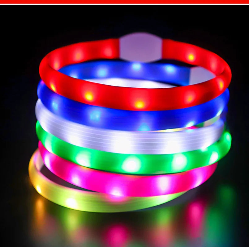 USB LED Dog Collar