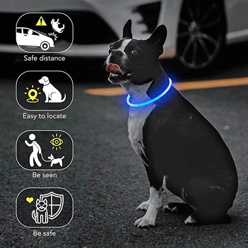 USB Glow Necklace Dog Collar