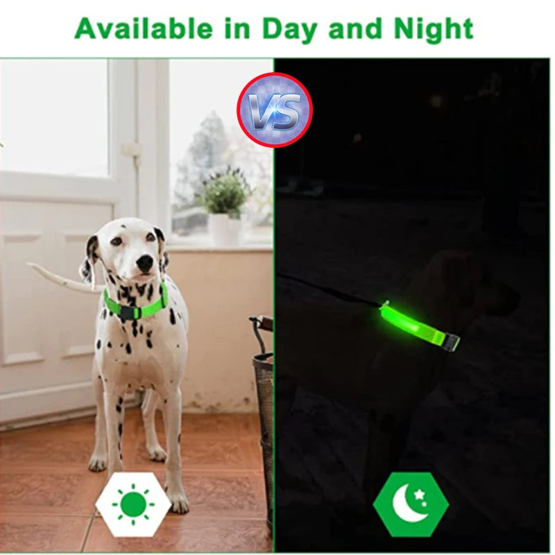 USB Rechargeable Luminous Dog Collar