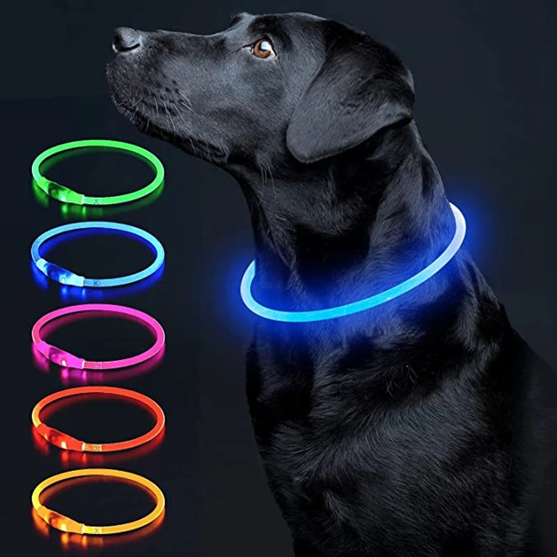 USB Glow Necklace Dog Collar