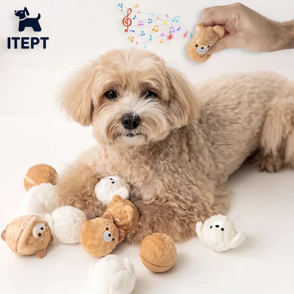 Squeaky Spiked Puppy Ball Toy
