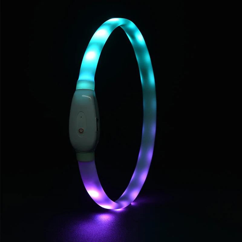 USB Glow Dog Collar 9 Modes