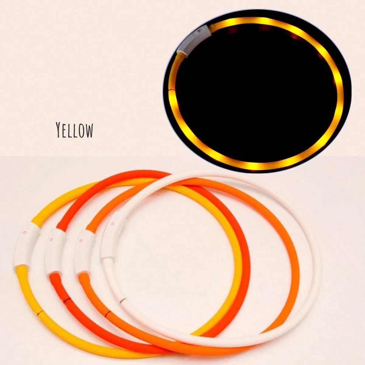 Glow Safety Dog Collar & Leash