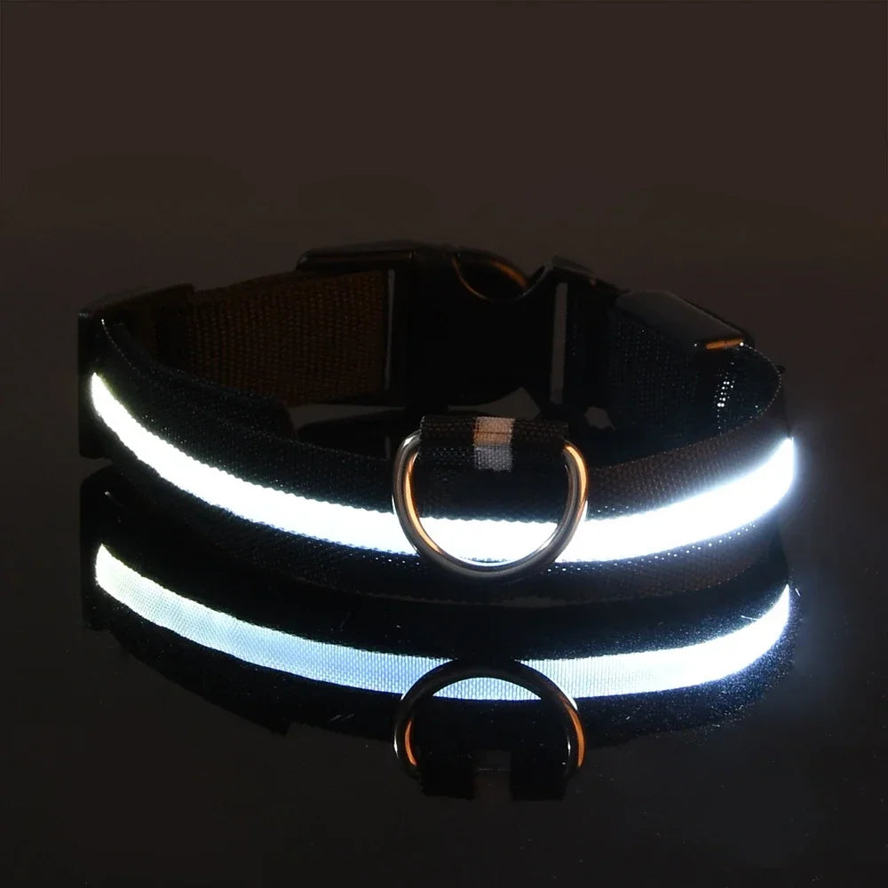 LED Glow Nylon Dog Collar