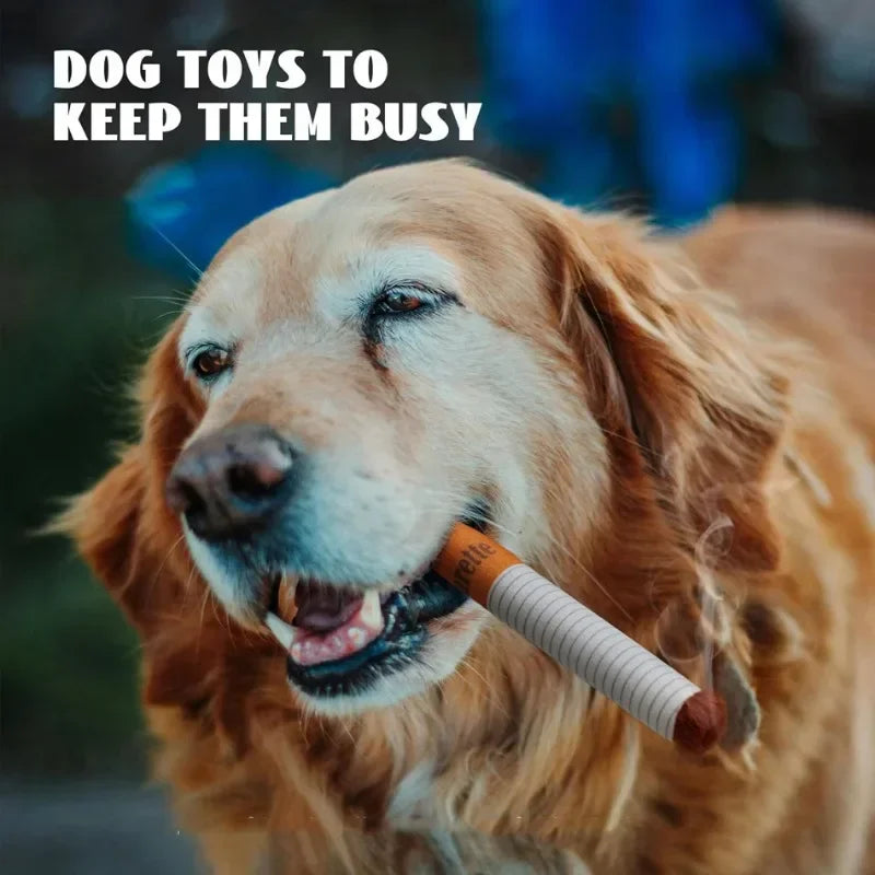 Plush Cigarette Case Dog Chew Toy