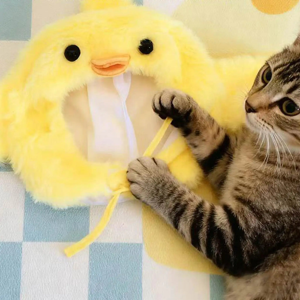 Funny Animal Hat for Pets