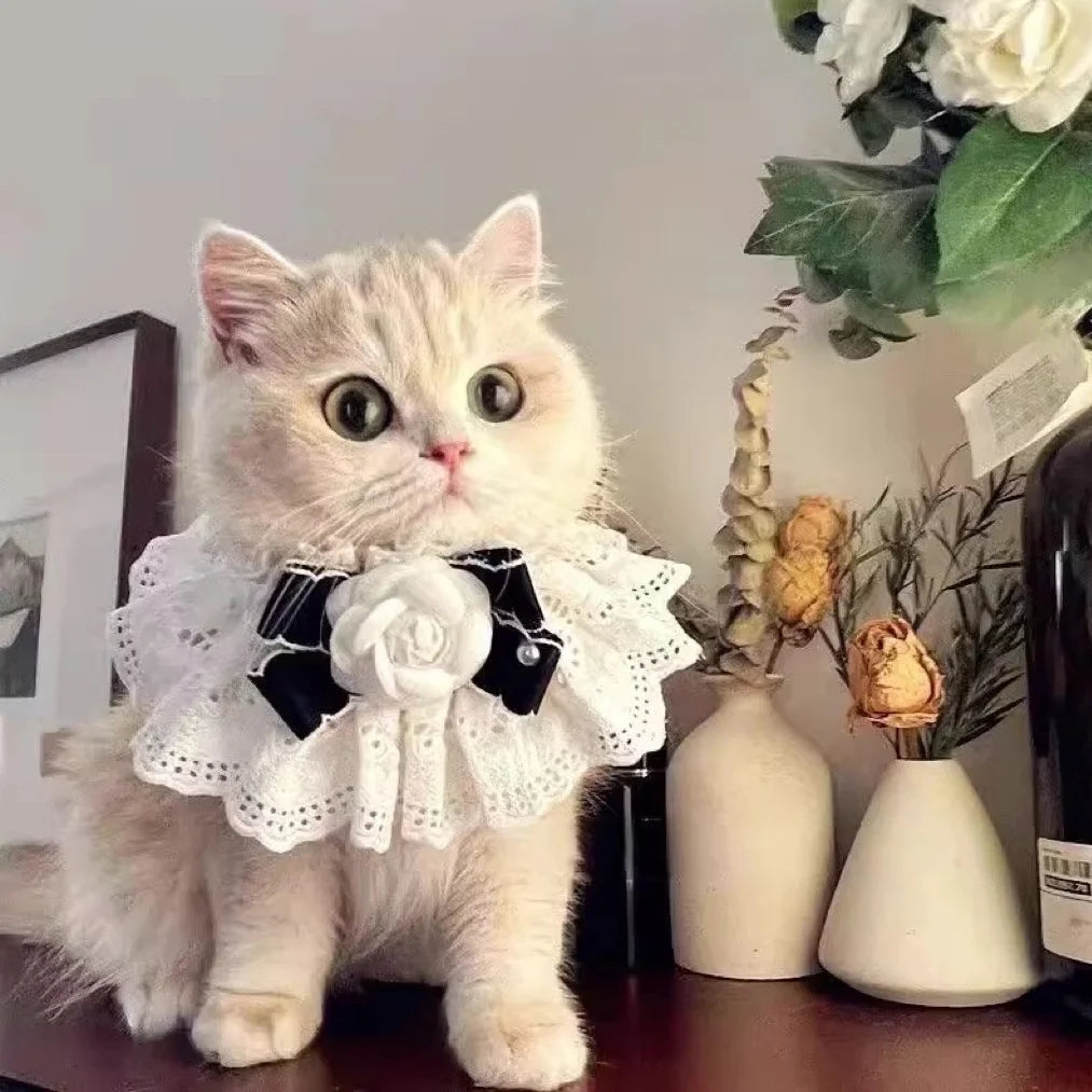 Silk Princess Cat Collar