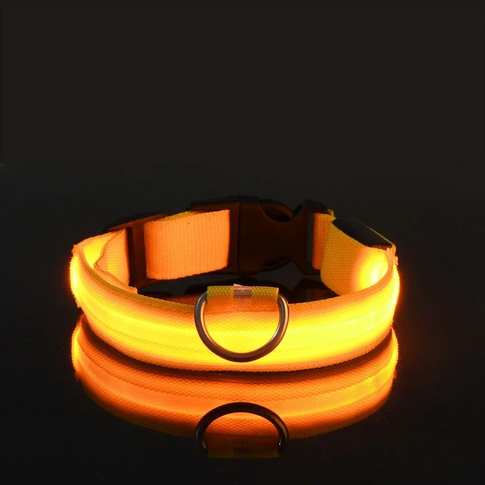 LED Glow Nylon Dog Collar