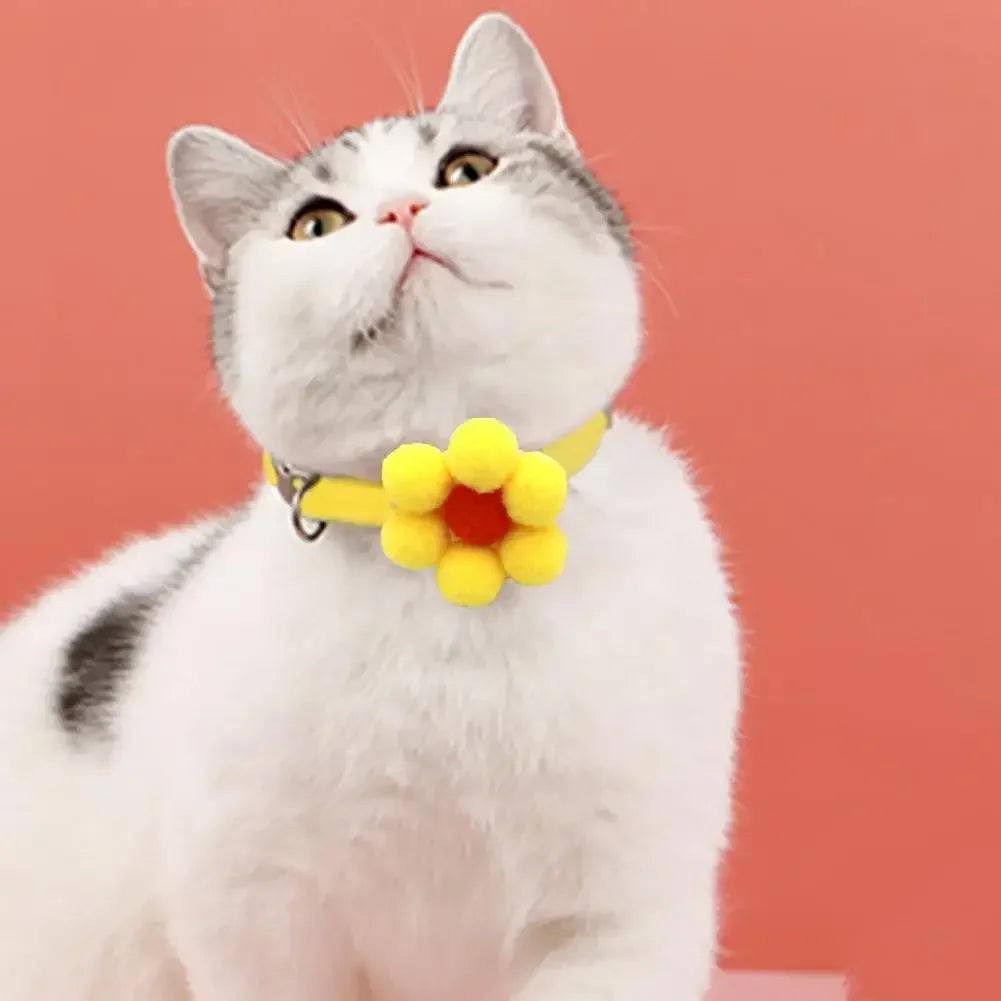 Bow Bell Cat Collar