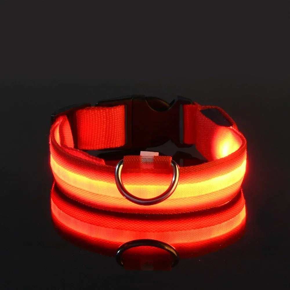 LED Glow Nylon Dog Collar