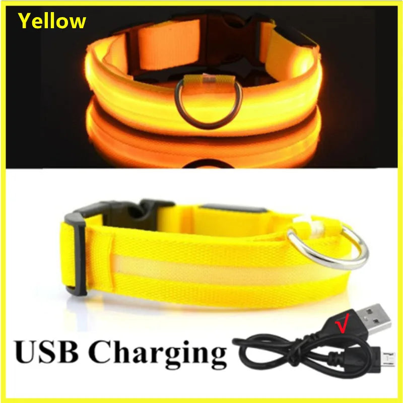USB Rechargeable Luminous Dog Collar