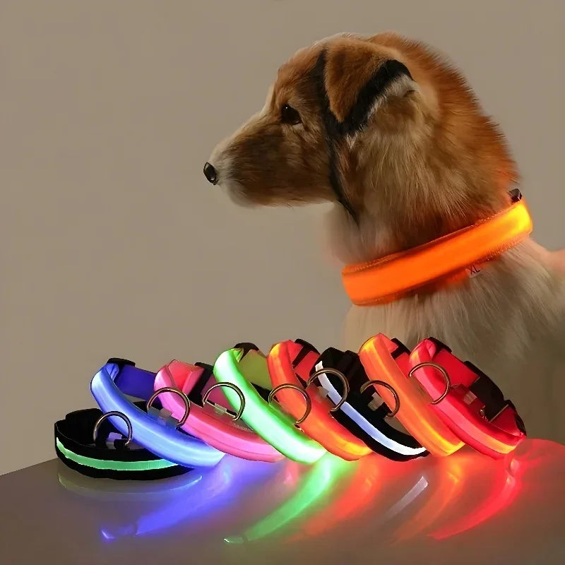 LED Glow Nylon Dog Collar
