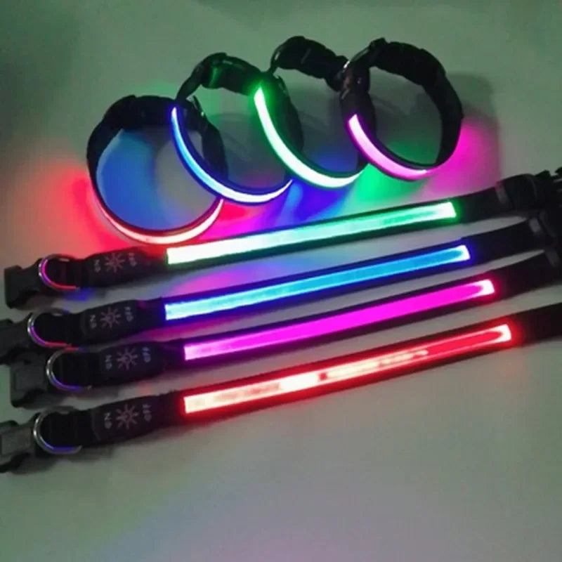 LED USB Charging Dog Collar