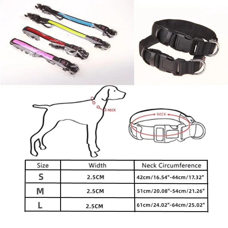 LED USB Charging Dog Collar
