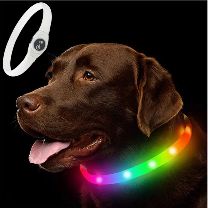 USB LED Dog Collar