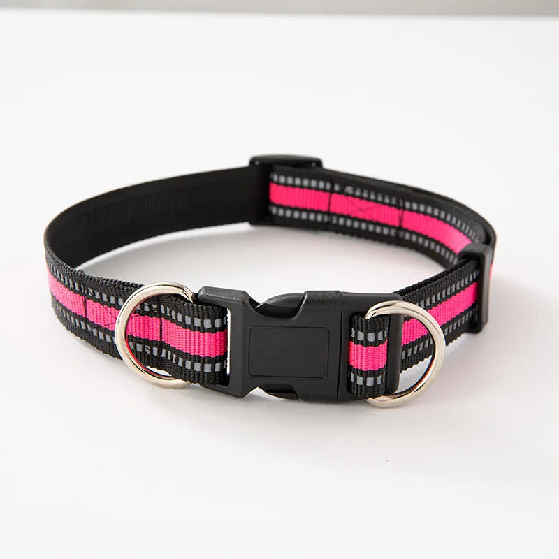 Dual D-Ring Dog Collar