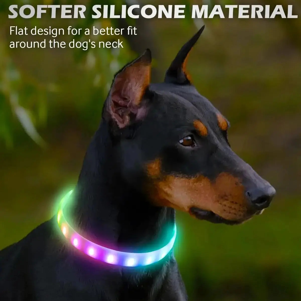 USB Glow Dog Collar 9 Modes