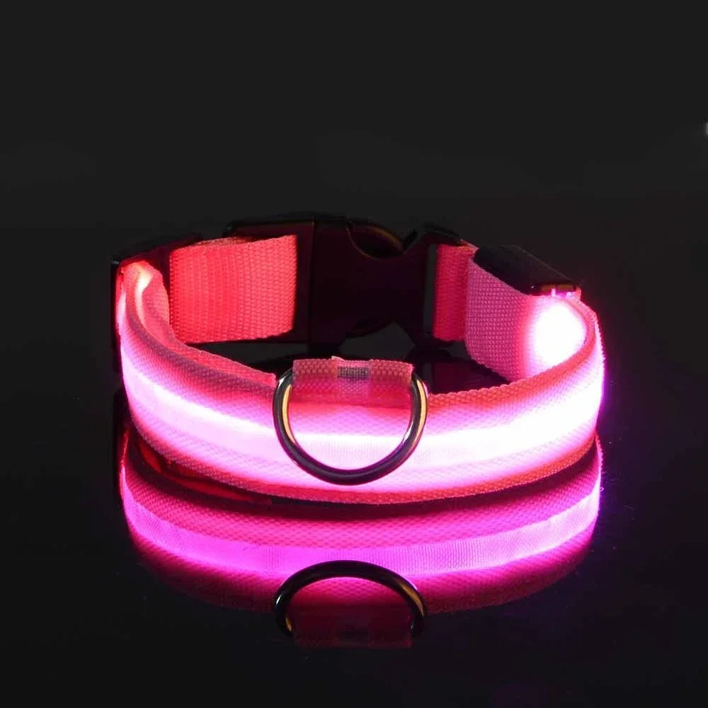 LED Glow Nylon Dog Collar