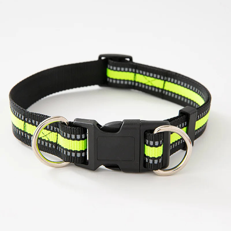 Dual D-Ring Dog Collar