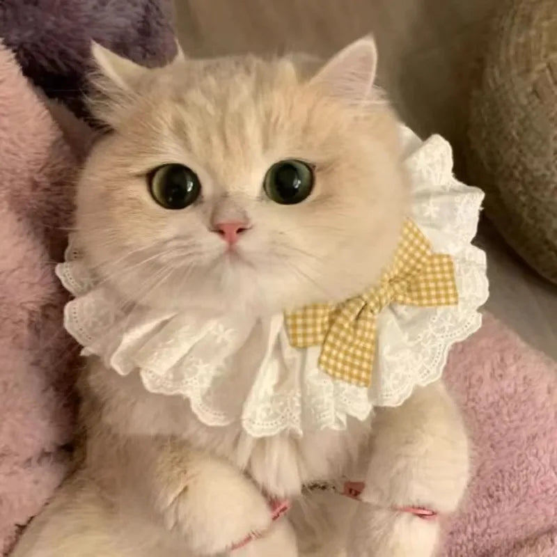 Silk Princess Cat Collar