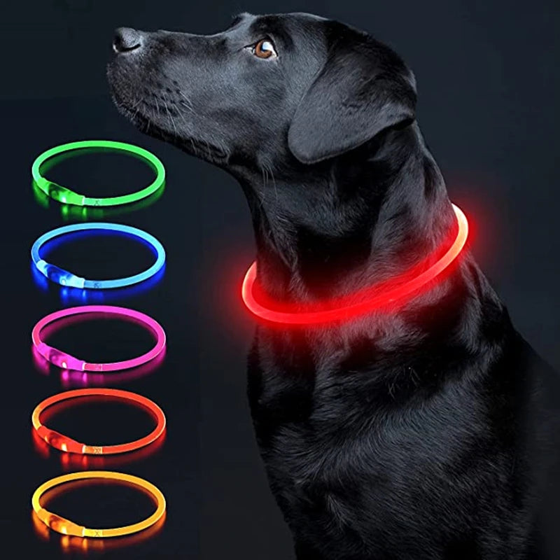 USB Glow Necklace Dog Collar