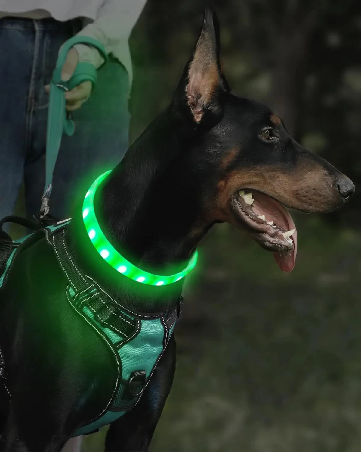 RGB Color-Changing Dog Collar