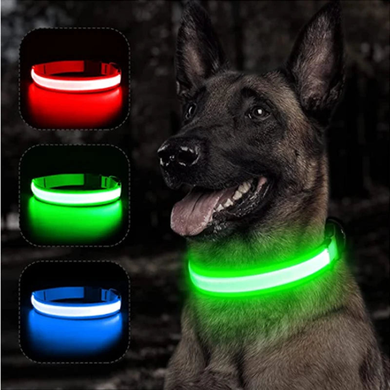 USB Rechargeable Luminous Dog Collar