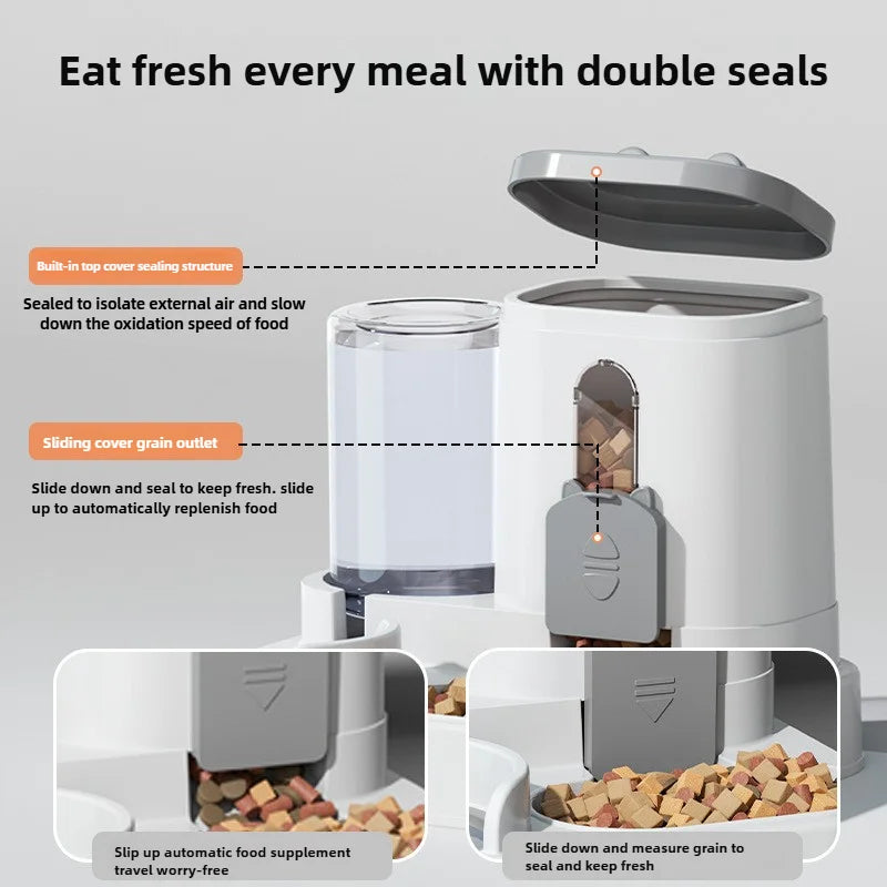 Auto Water Fountain Pet Feeder