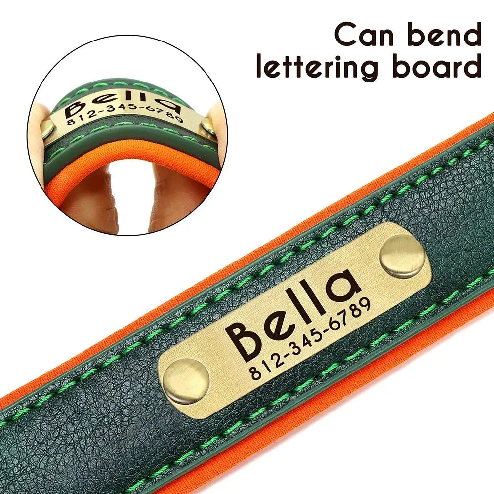Personalized Leather ID Collar
