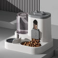 Auto Water Fountain Pet Feeder
