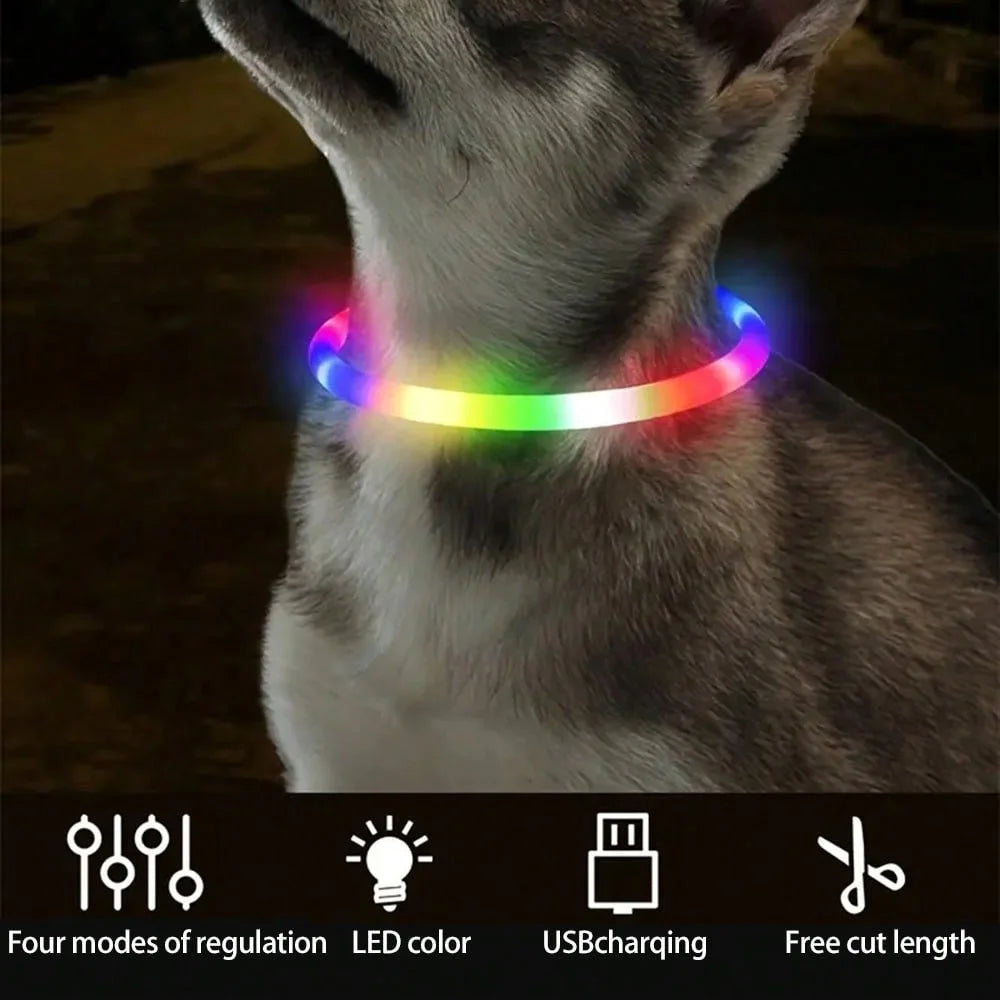 Glow Safety Dog Collar & Leash