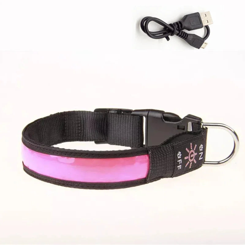 LED USB Charging Dog Collar