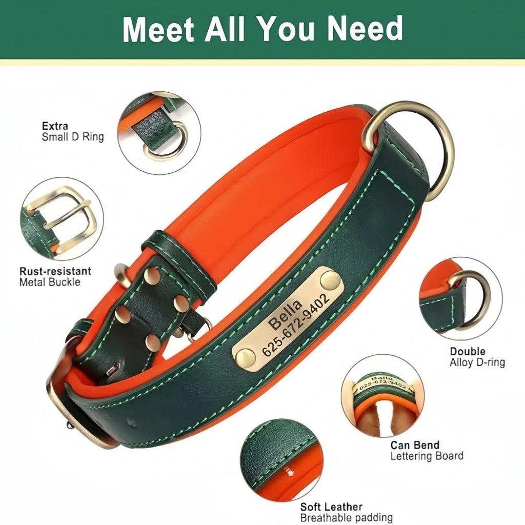 Personalized Leather ID Collar