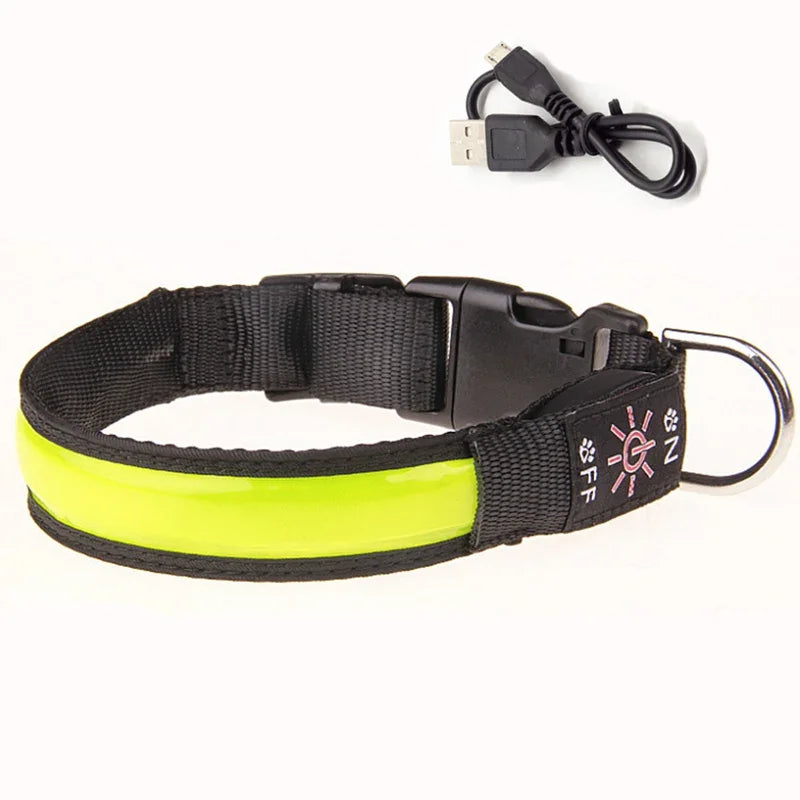 LED USB Charging Dog Collar
