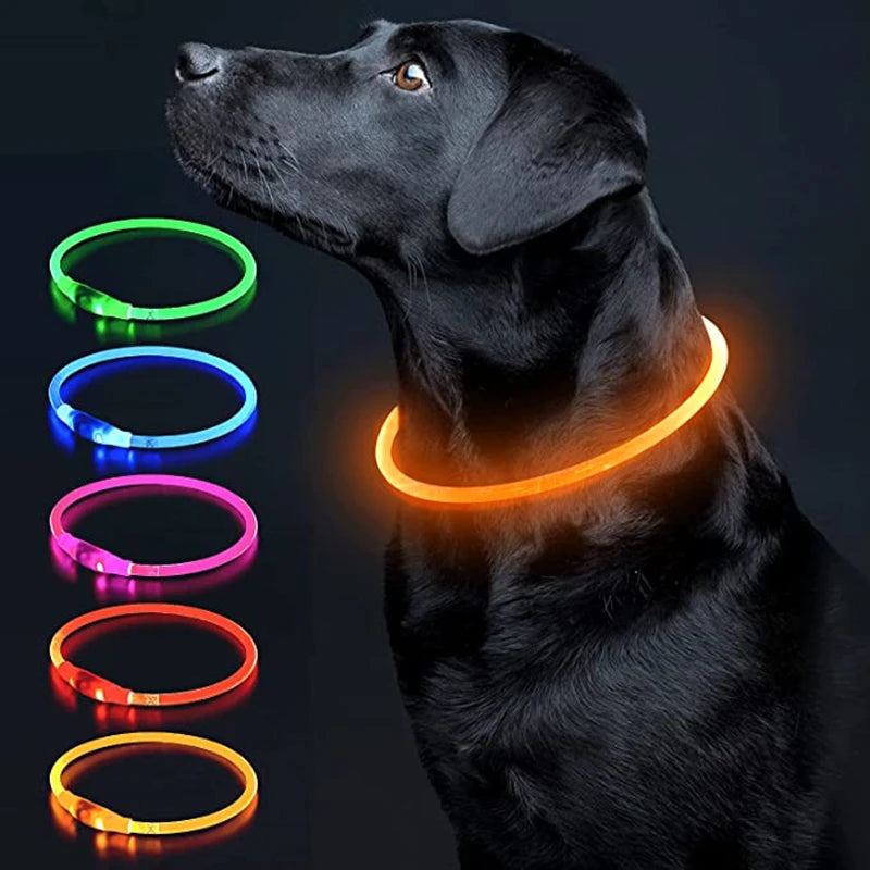 USB Glow Necklace Dog Collar