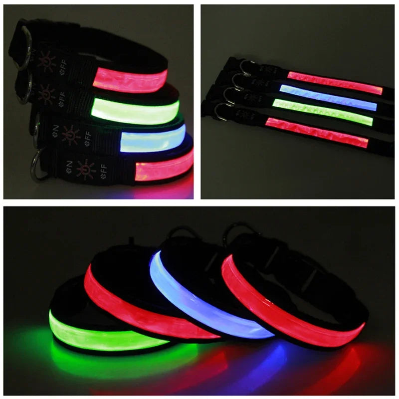 LED USB Charging Dog Collar