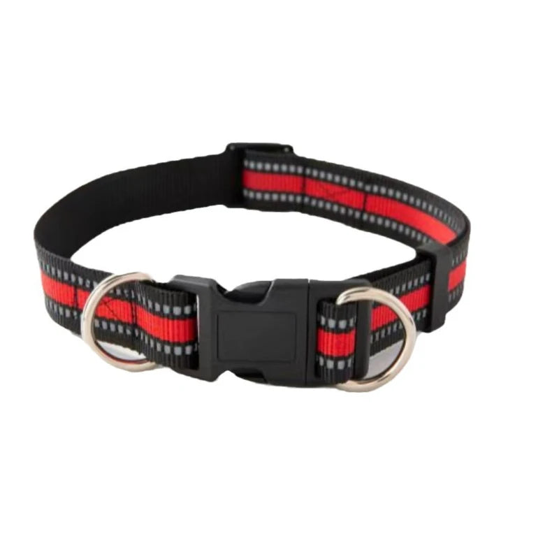 Dual D-Ring Dog Collar