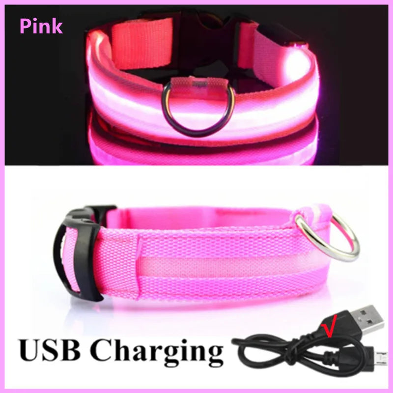 USB Rechargeable Luminous Dog Collar