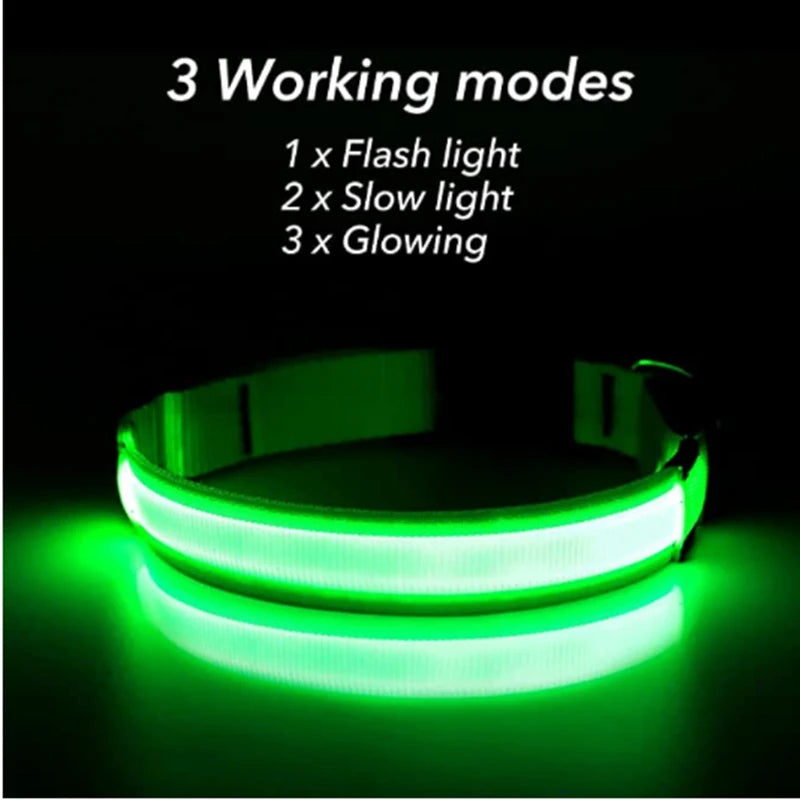 USB Rechargeable Luminous Dog Collar