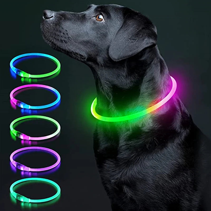 USB Glow Necklace Dog Collar