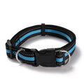 Dual D-Ring Dog Collar