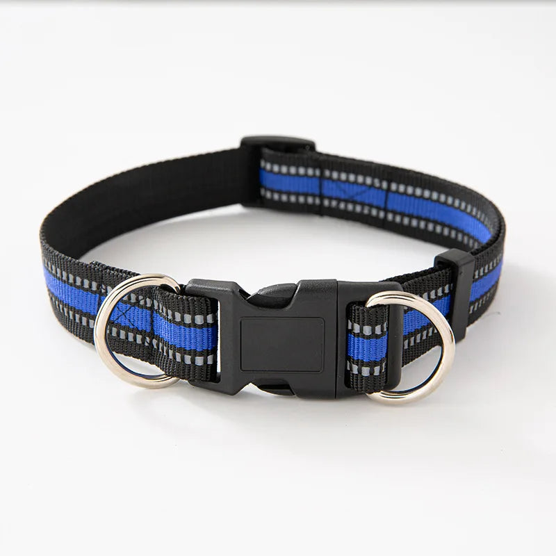 Dual D-Ring Dog Collar