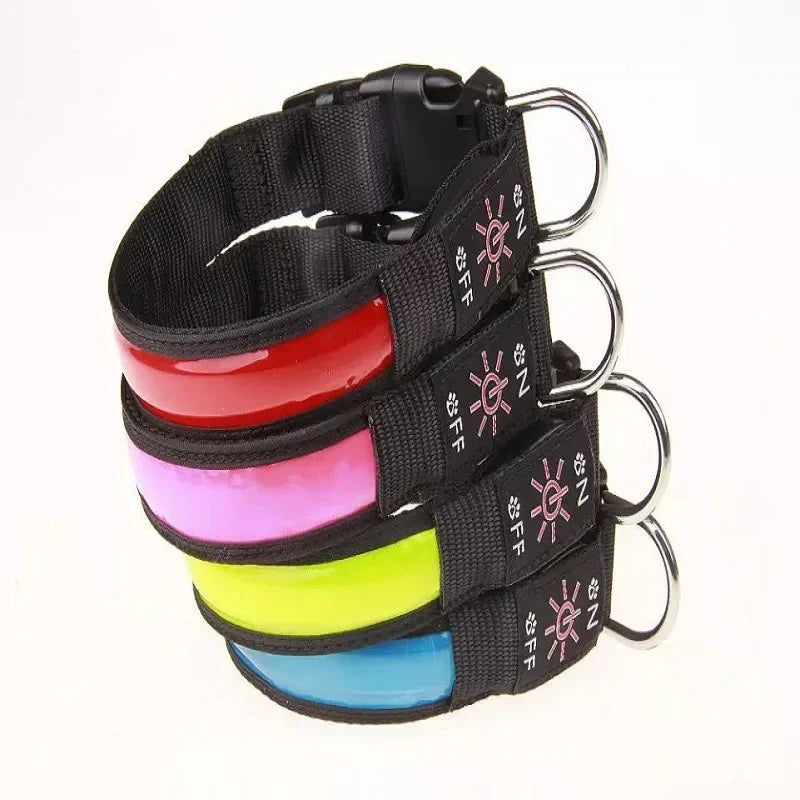 LED USB Charging Dog Collar