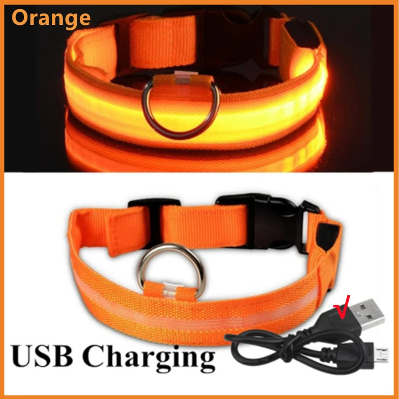 USB Rechargeable Luminous Dog Collar