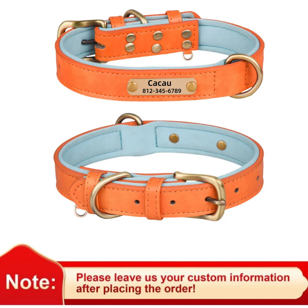 Personalized Leather ID Collar