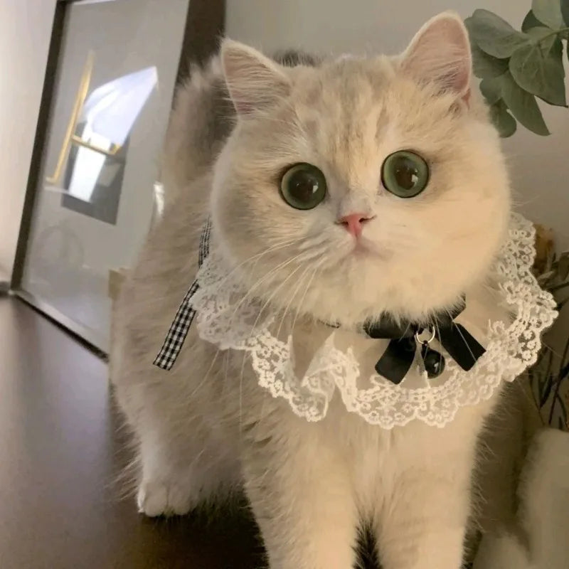 Silk Princess Cat Collar
