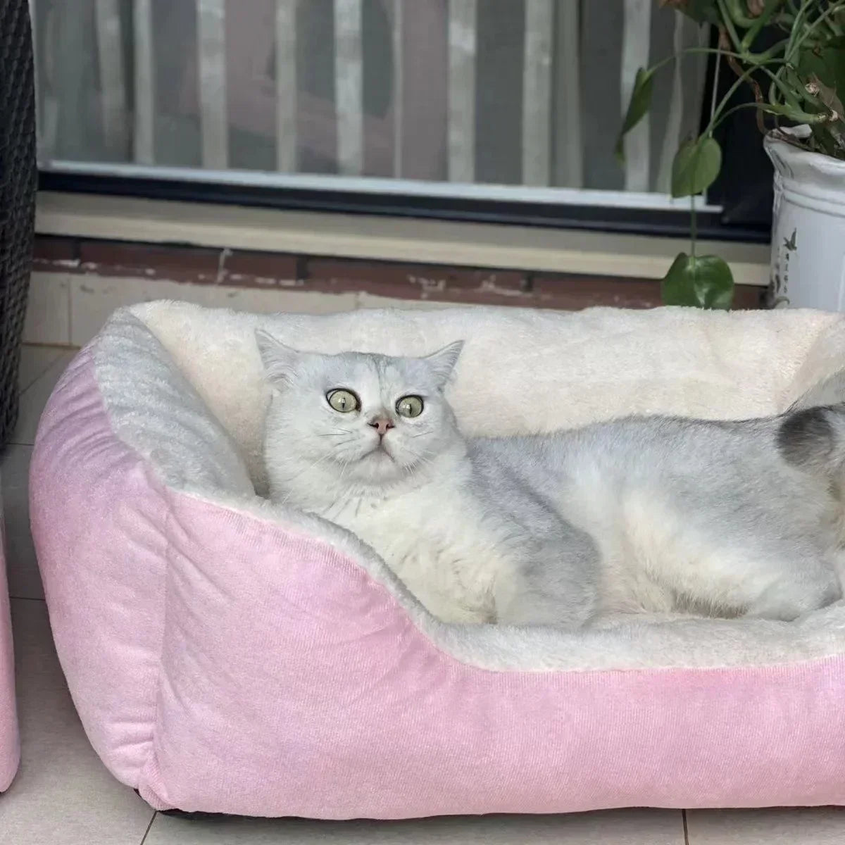 Plush Pet Cushion Bed