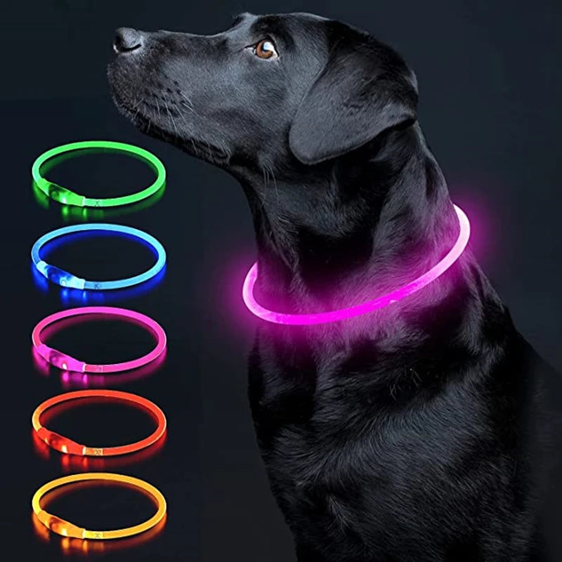 USB Glow Necklace Dog Collar