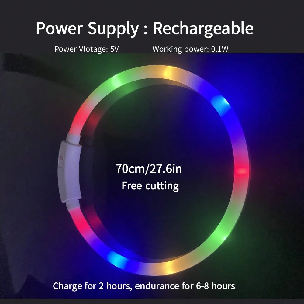 Glow Safety Dog Collar & Leash